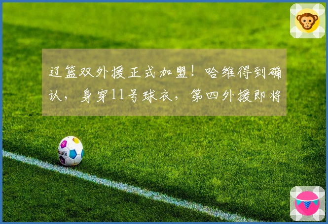 辽篮双外援正式加盟！哈维得到确认，身穿11号球衣，第四外援即将到来